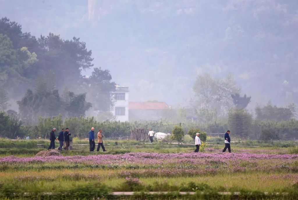 国家重大场合振奋人心背景音乐,正式场合迎宾的背景音乐