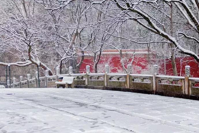 10首经典诗词,十一首情诗