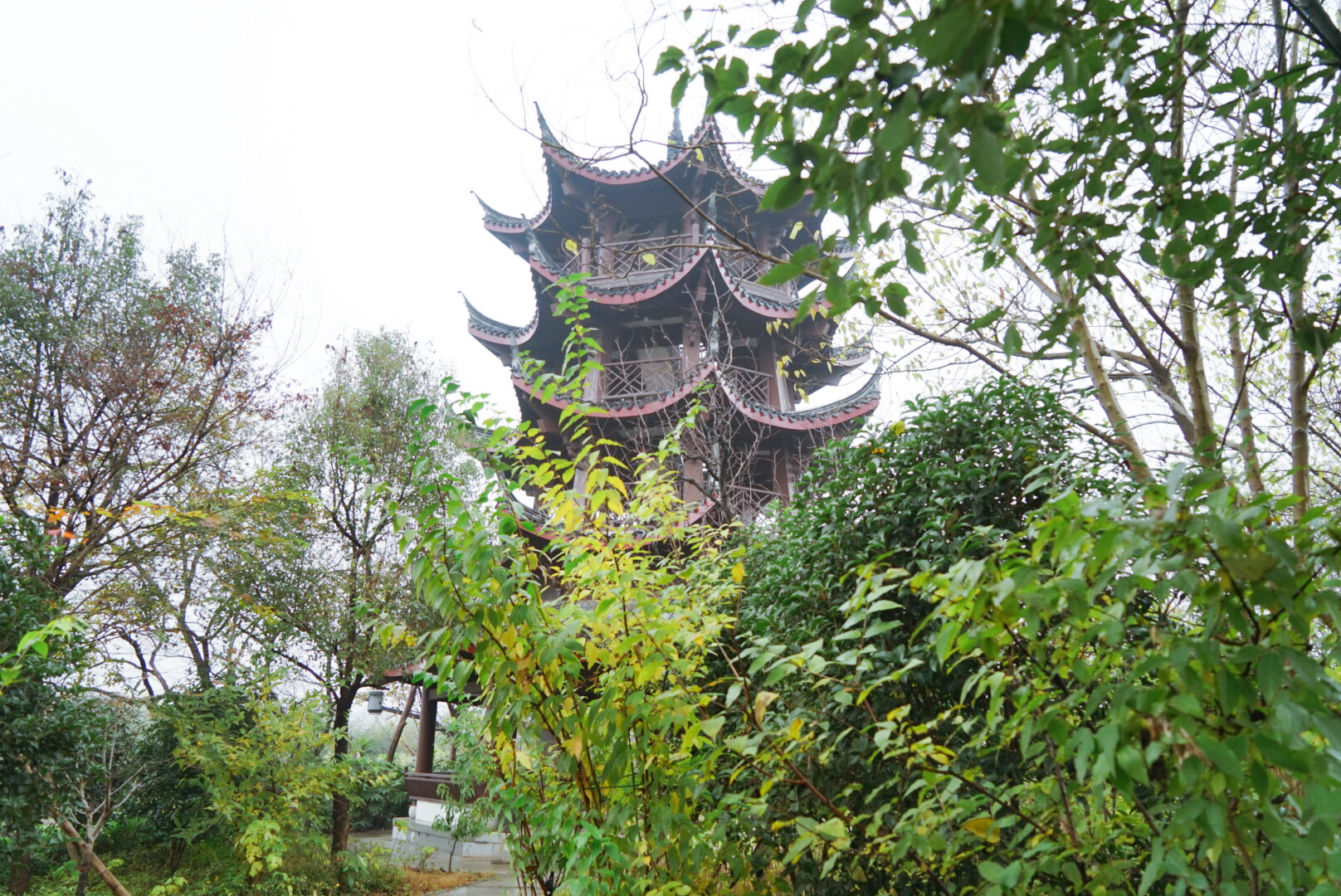 我和玛莎拉蒂的故事,我与玛莎拉蒂的故事