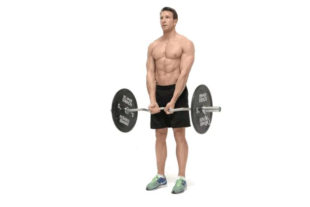 为什么二头肌怎么练都不痛,二头肌为何练完不疼