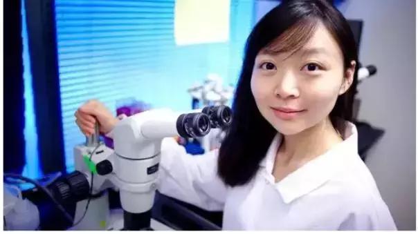 基因重组可以产生新物种吗,基因重组会产生新的基因吗