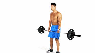 中年人健身房一周训练计划,健身房一周训练计划app