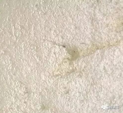 如何挑选优质和田玉石手镯,如何挑选和田玉手镯