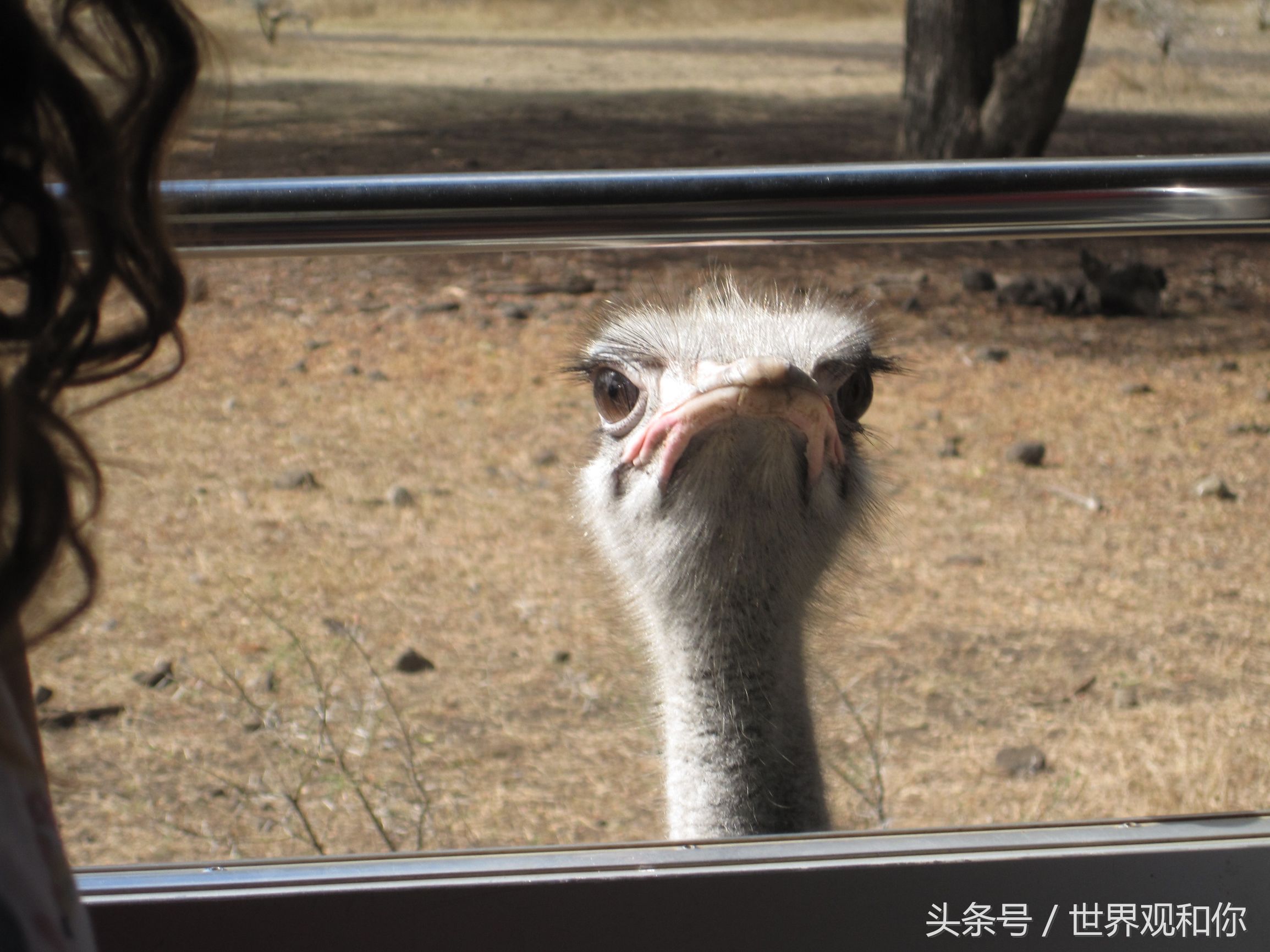 旅行毛里求斯,毛里求斯5天4夜游记