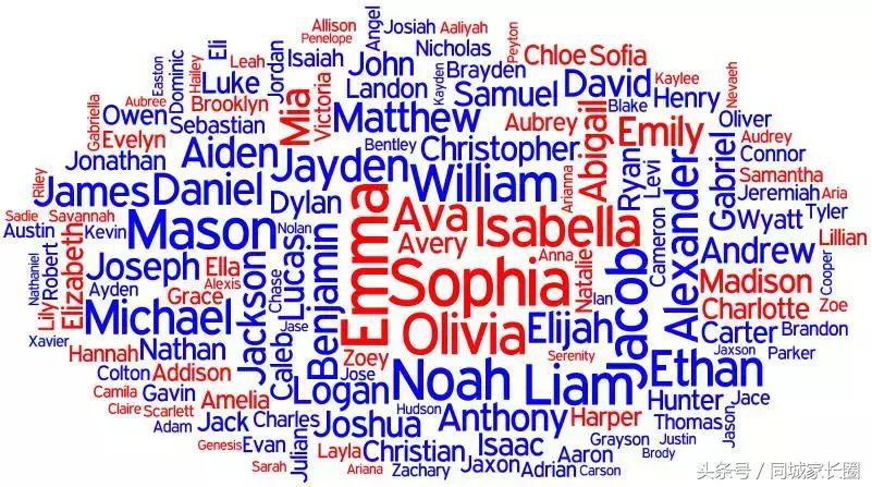 24年最新男孩英文名大全,适合兔年宝宝的英文名