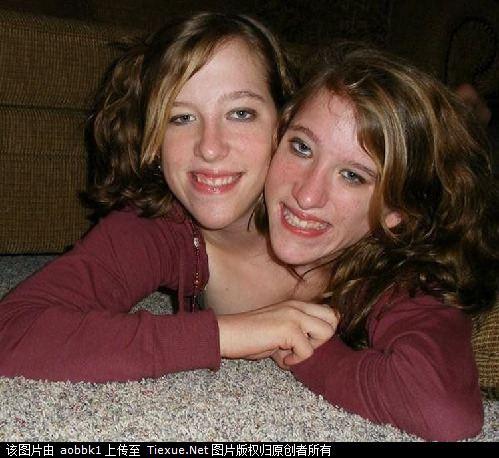 张家口羊房堡怪事,张家口十大怪物