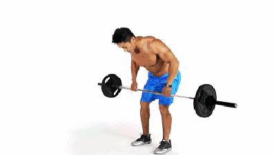 中年人健身房一周训练计划,健身房一周训练计划app