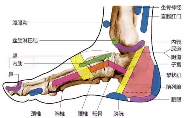 为什么生完宝宝之后，你却开心不起来