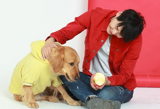 家里的狗狗生气怎么办,狗狗发脾气的表现