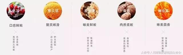 老家河南巩义礼物,老家礼物