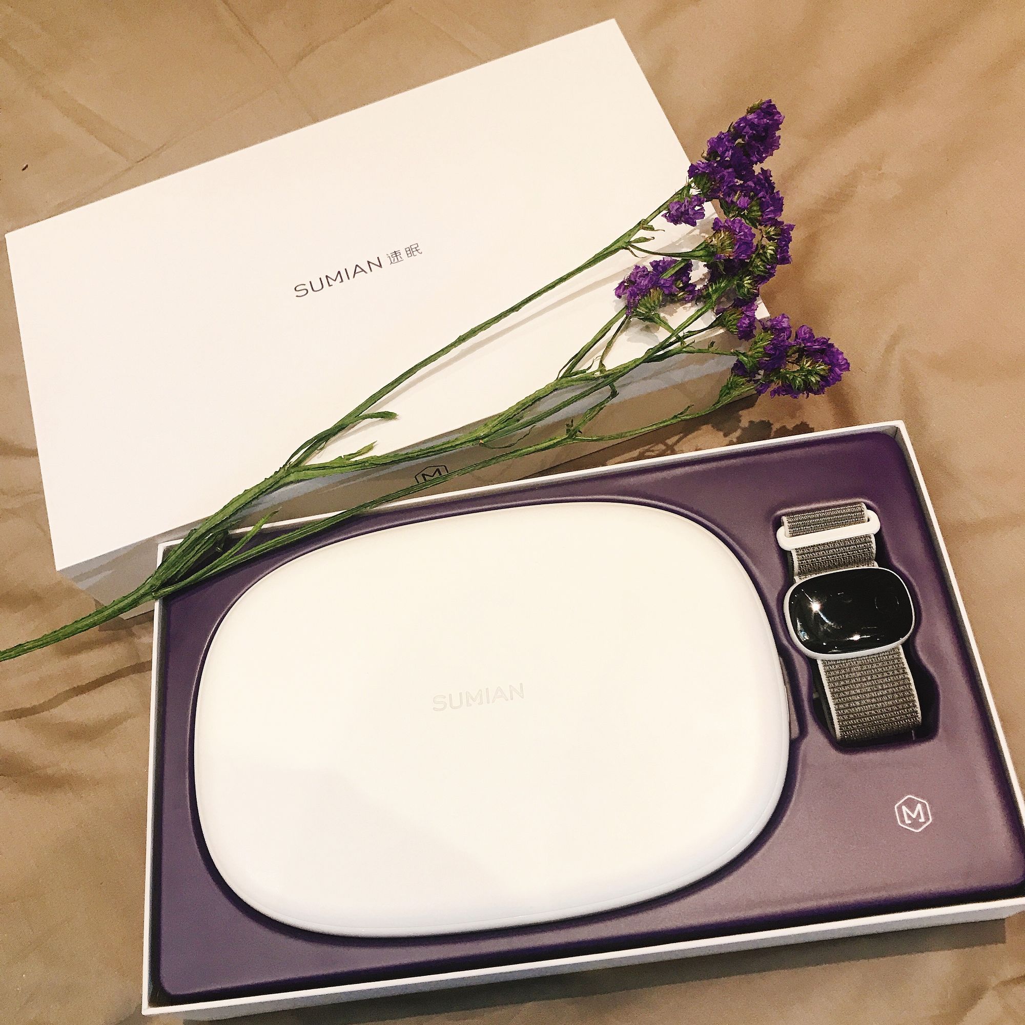 速眠睡眠仪,速眠仪器