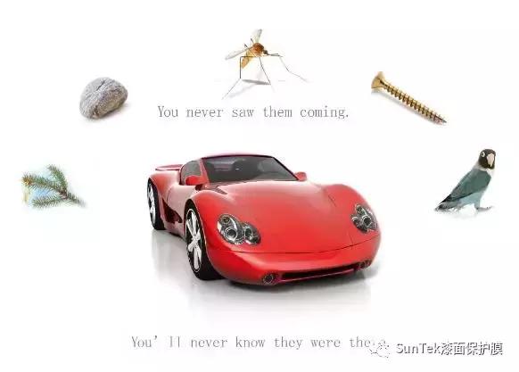 suntek圣科隐形车衣旗舰店团购,suntek圣科漆面保护膜车衣