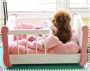 关于狗狗日常护理的视频,狗狗护理驱虫全套