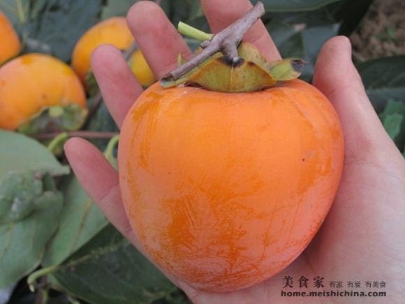 柿饼上的白霜是怎么来,柿饼上的白霜怎么出来的