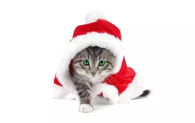 饰品店一年四季适合卖什么,小饰品开店攻略