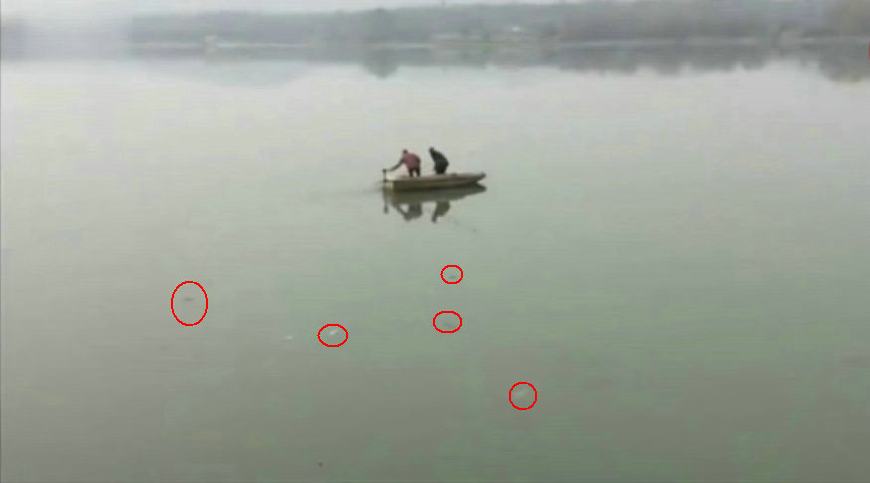 上游放鱼苗下游捞鱼苗,配合默契的团战