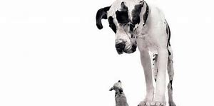 考研高频词汇背诵,考研必背5500词汇电子版