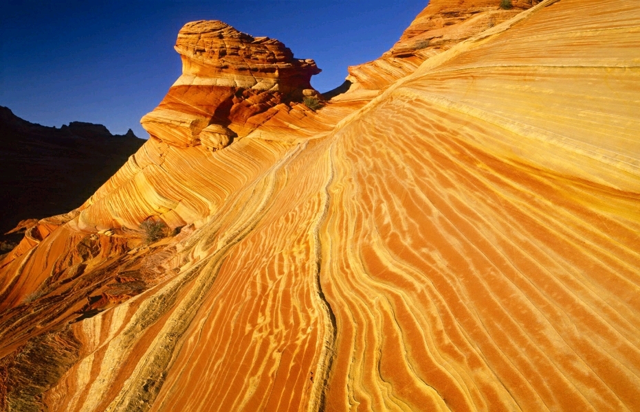 睡不着看看这几句话句句入心,当你晚上睡不着时打开看看
