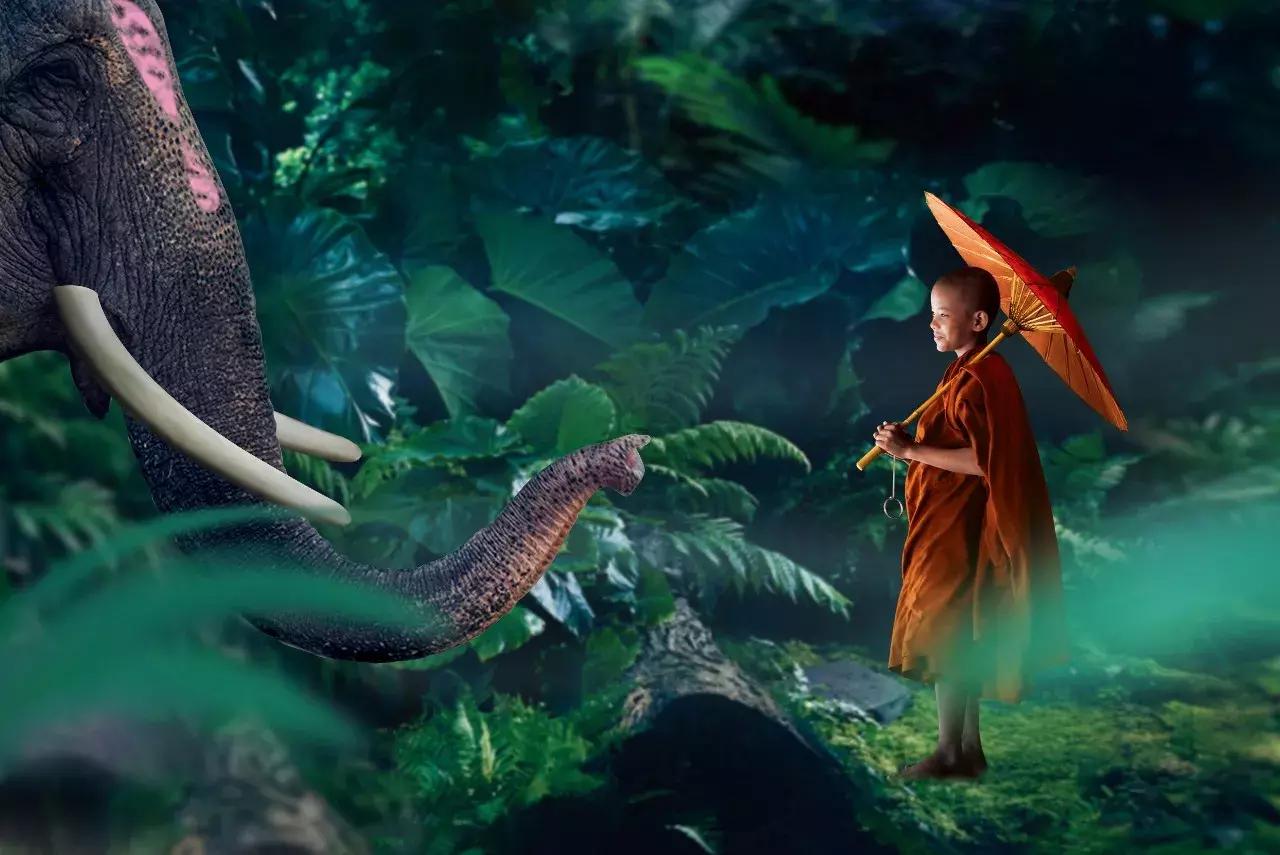 人总要有向往才能去你想去的地方,每个人的内心都有一些想去的远方