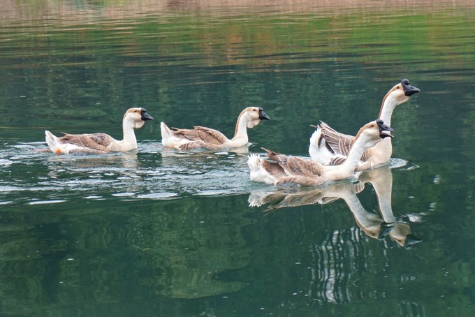 去阳朔玩不可错过的美食,阳朔旅行攻略必去景点