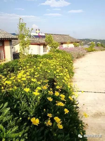 带孩子丽江自驾游,宝妈开着车带熊孩子兜风文案