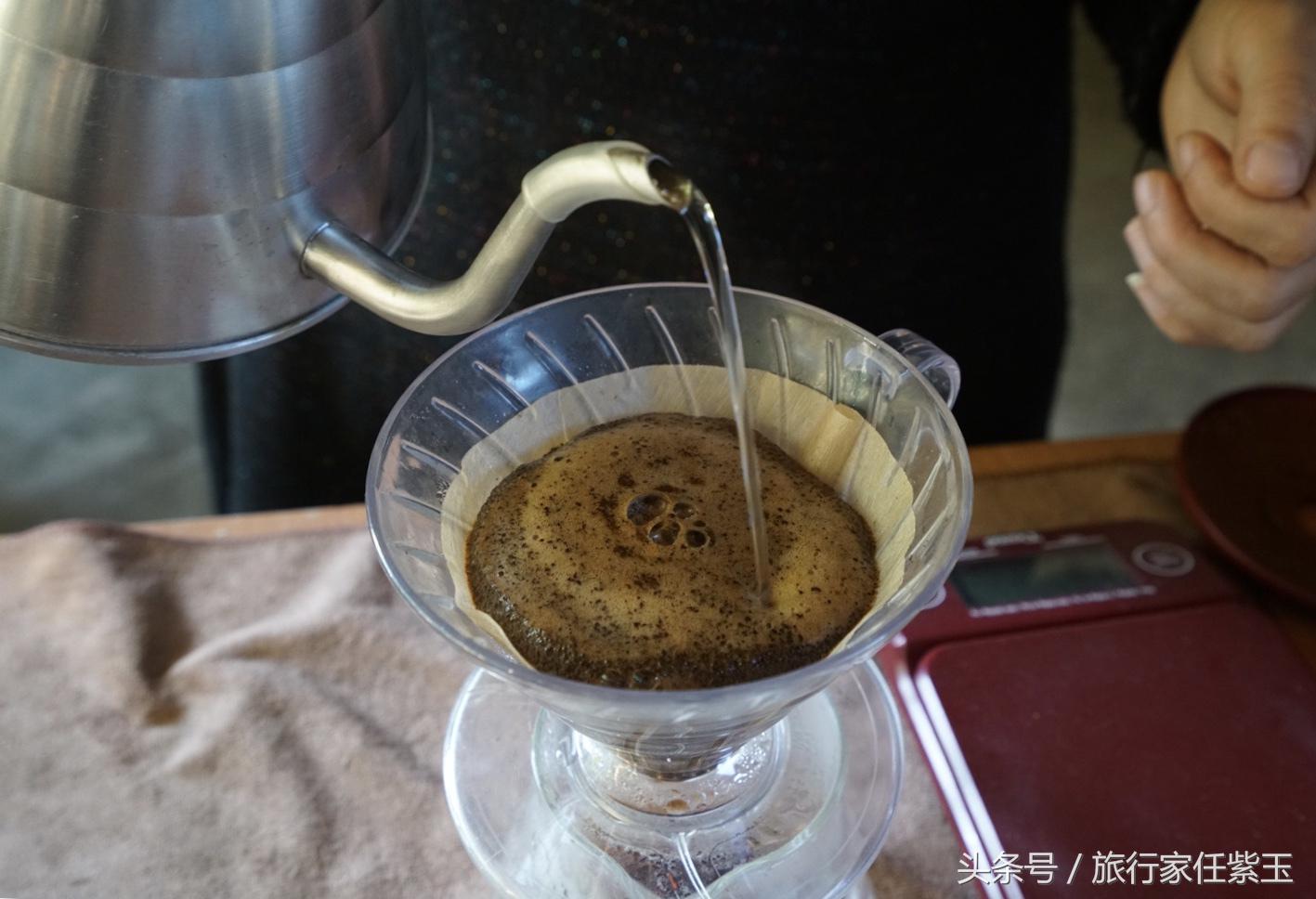 猫屎咖啡和普通咖啡有什么区别呢,猫屎咖啡和云南小粒咖啡哪个好