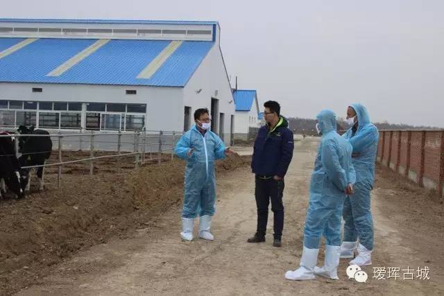 揭秘奶粉市场,黑河探店揭秘