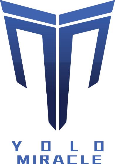 2016炉石中欧对抗赛衣锦夜行,2016炉石中欧对抗赛决赛