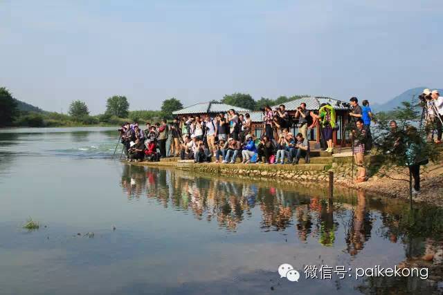 摄影狗，没女友，见了都得绕着走｜推荐