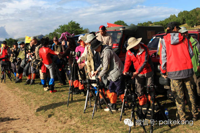 摄影狗，没女友，见了都得绕着走｜推荐