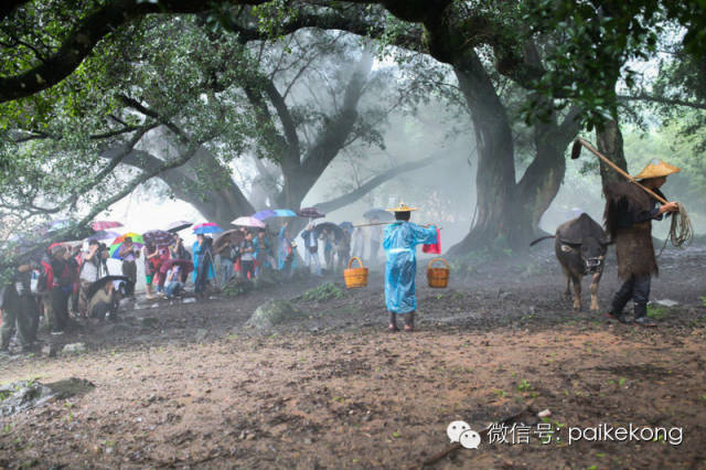 摄影狗，没女友，见了都得绕着走｜推荐