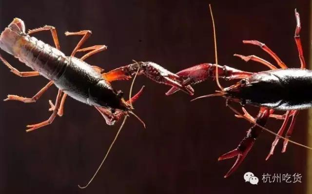 著名时尚造型师李东田,李东田越南粉