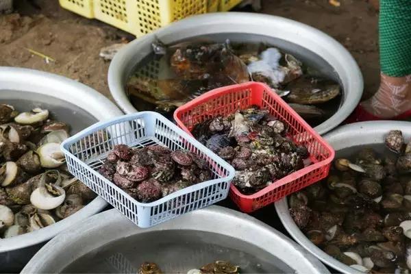 去越南岘港落地签证多少钱,去越南岘港需要什么手续和签证