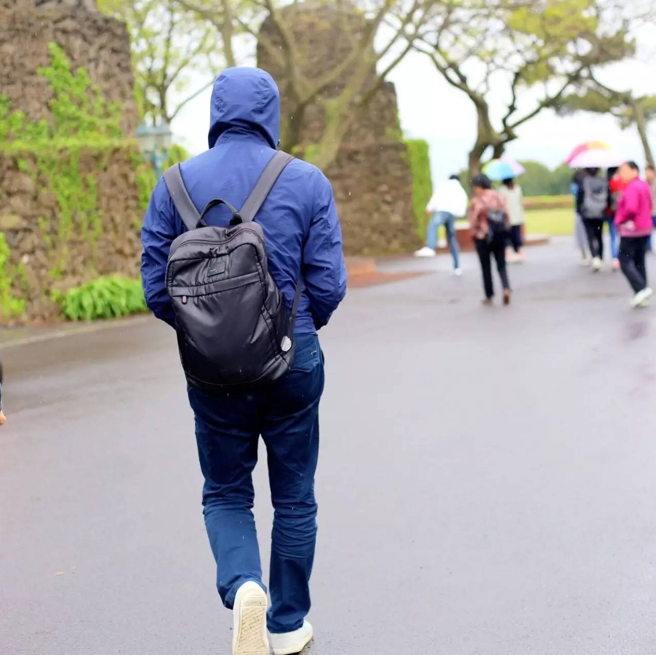 全过程记录,揭秘廉价济州岛跟团游背后的真相