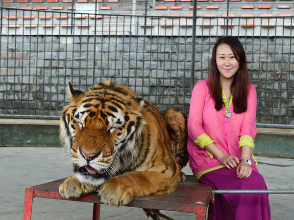 中南百草原景区动物园,中南百草原景区动物