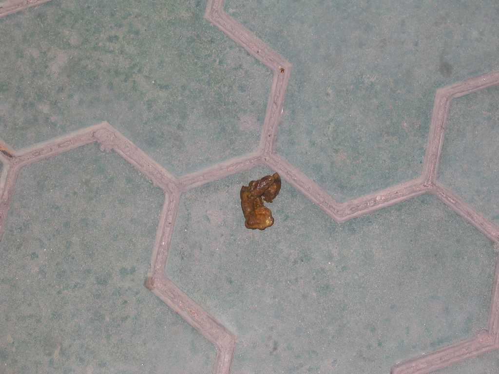 盘点成都各种会遭人甩白眼的行为！你中枪了吗？