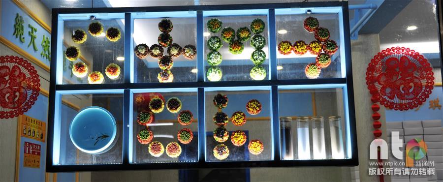 穿越百年的街市南塘老街,千年古街华丽蝶变