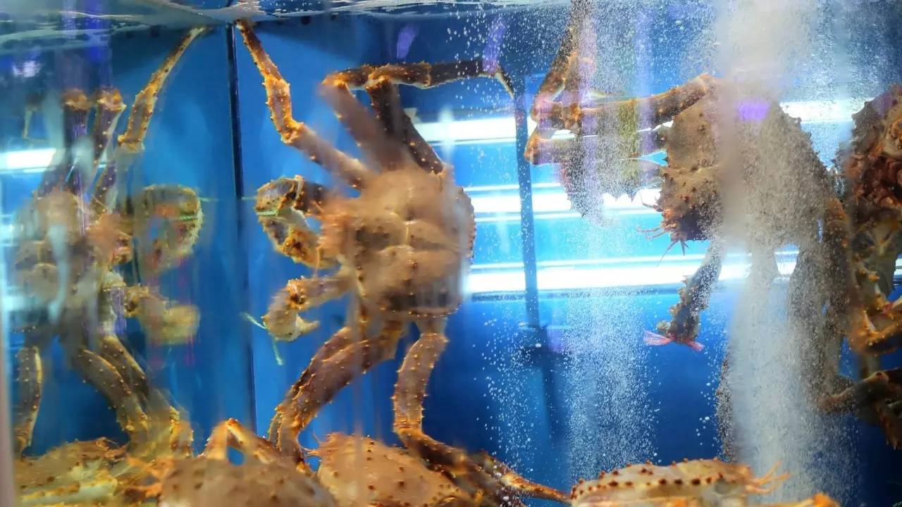 全过程记录,揭秘廉价济州岛跟团游背后的真相