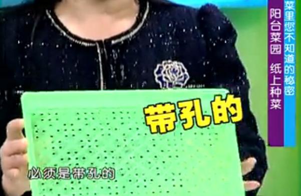 最新纸上适合家庭种菜的方法,纸上种菜方法