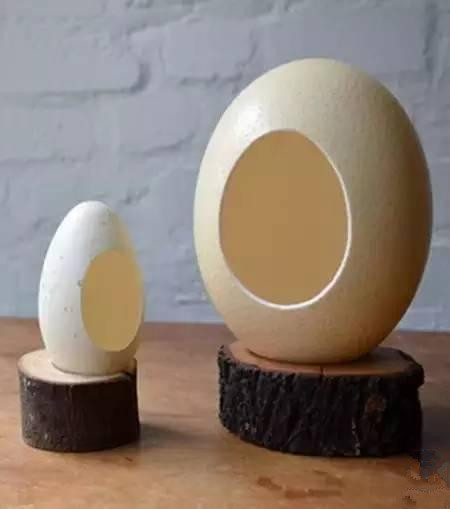 用鸡蛋壳这样养花1年不用施肥,鸡蛋壳别再扔了这样做比肉还好吃