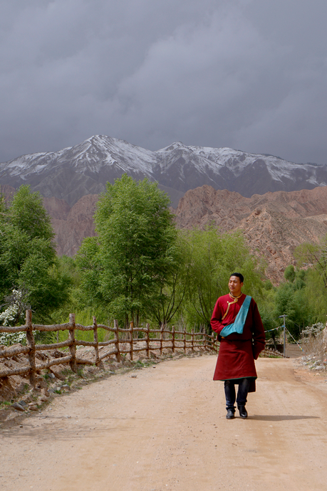 醉美四月天翻唱,醉美贵德