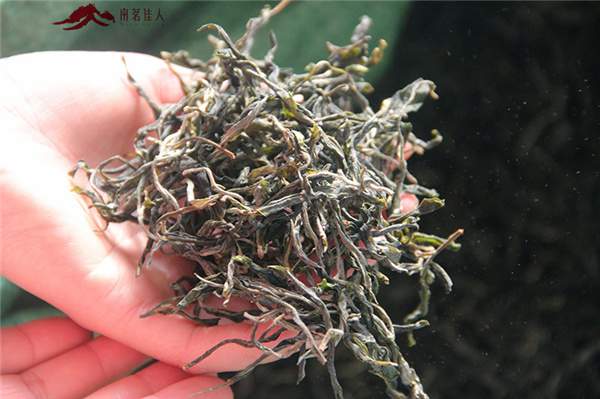 春茶之旅第二站：贡茶麻黑和新秀落水洞