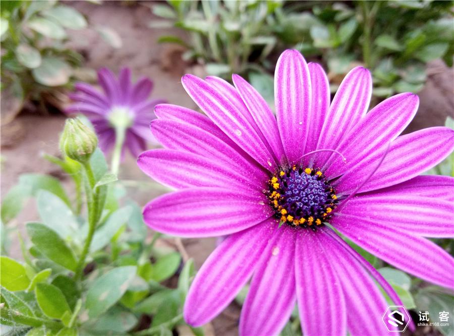 颜值爆表性价比手机,魅蓝note3参数配置详情