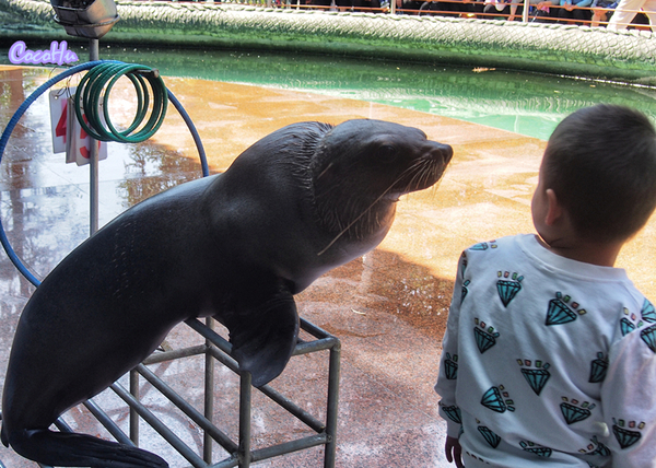 中南百草原景区动物园,中南百草原景区动物
