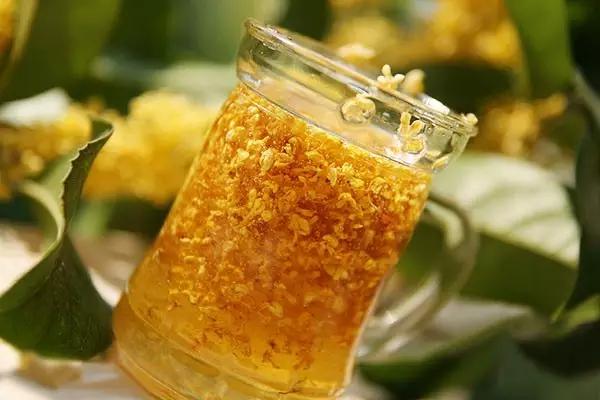 把春天吃进嘴里,把春天吃进嘴里句子