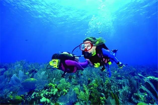 佛山附近比较坑的旅游小岛,佛山周边海岛游推荐小众