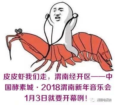 渭南的大事,渭南临渭区大事