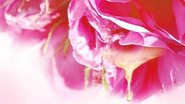 收下吧！你的水光新“肌”密，“美丽品格”都在为TA疯狂打call