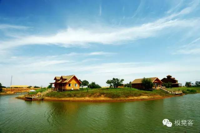 金姐吐槽一针见血,金姐一针见血完整视频