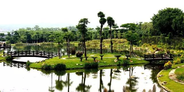 上海免费旅游景点,上海残疾人免费景点一览表